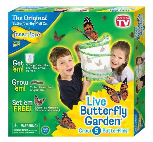 INSECT LORE LIVE BUTTERFLY GARDEN